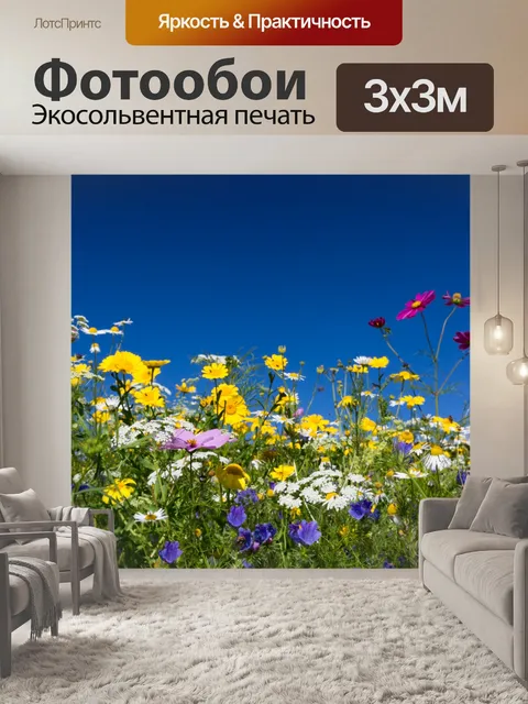 Фотообои Красочные полевые цветы