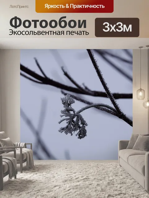 Фотообои Ледяной