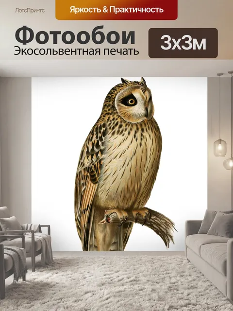 Фотообои Винтажная сова