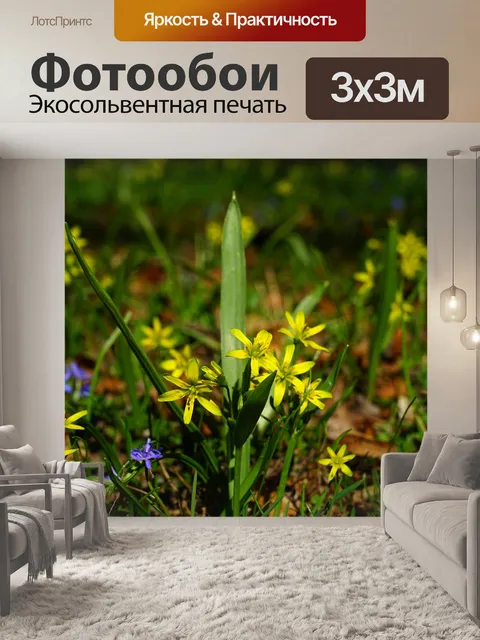 Фотообои Лес желтая звезда