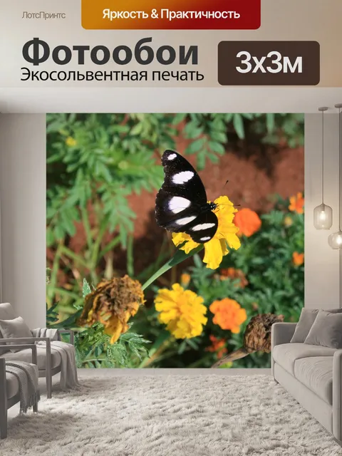 Фотообои Желтые бархатцы и бабочка