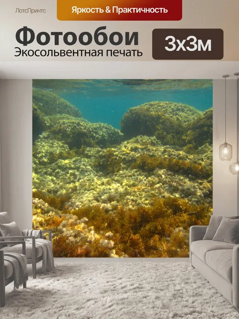Фотообои морское дно