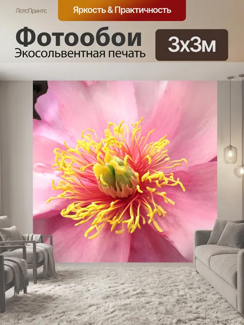 Фотообои Макро японский розовый пион