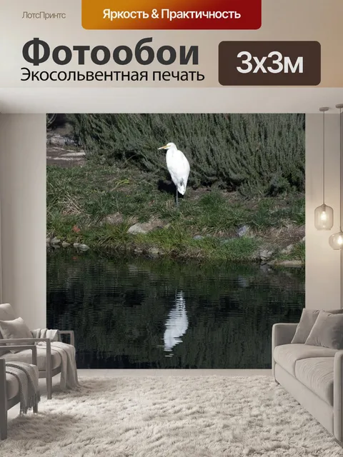 Фотообои Снежная белая цапля