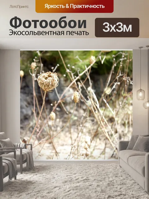 Фотообои Сухой цветок
