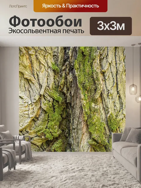 Фотообои Черный тополь