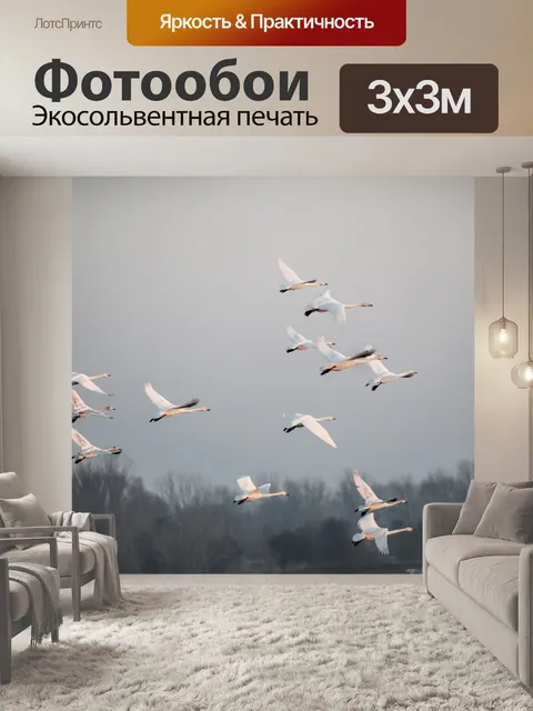 Фотообои Полет