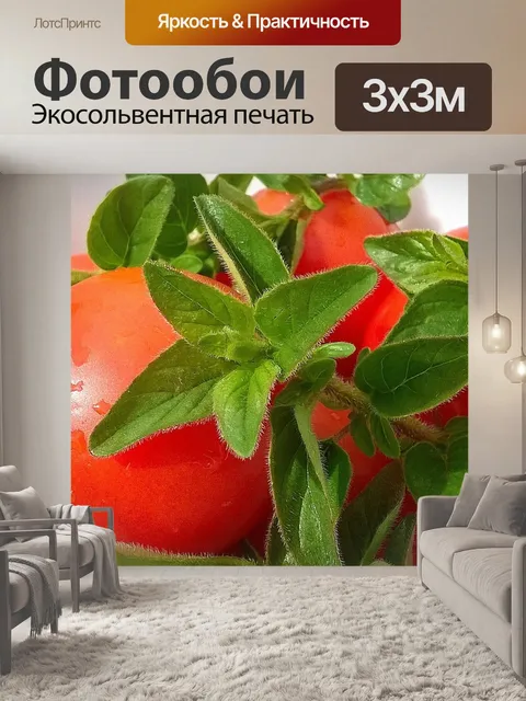 Фотообои Помидоры