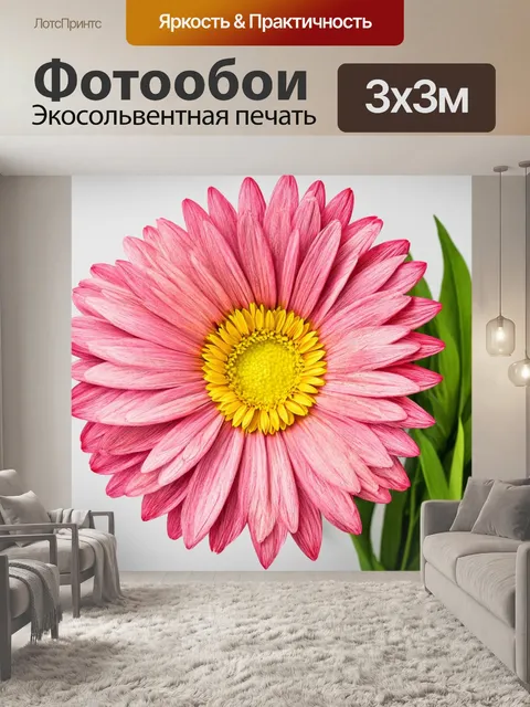 Фотообои цветы в стиле малярные краски, стильный минимализм с одним цветком