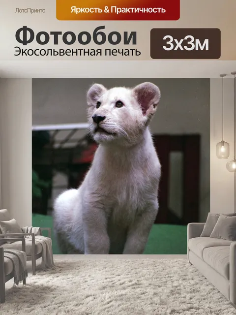 Фотообои Белый лев
