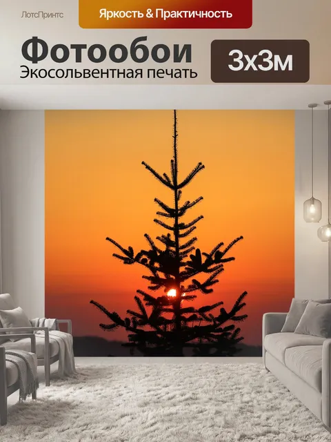 Фотообои Заход солнца