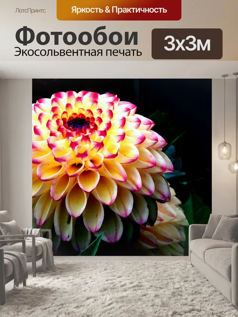 Фотообои георгин