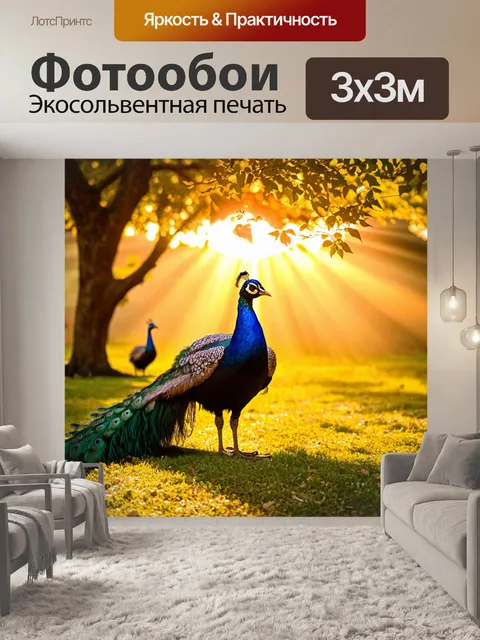 Фотообои с павлинами, распускающими свои яркие хвосты на фоне золотого заката, с мягкими лучами солнца, которые…