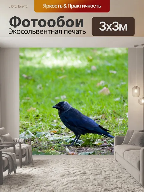 Фотообои Crow птенца