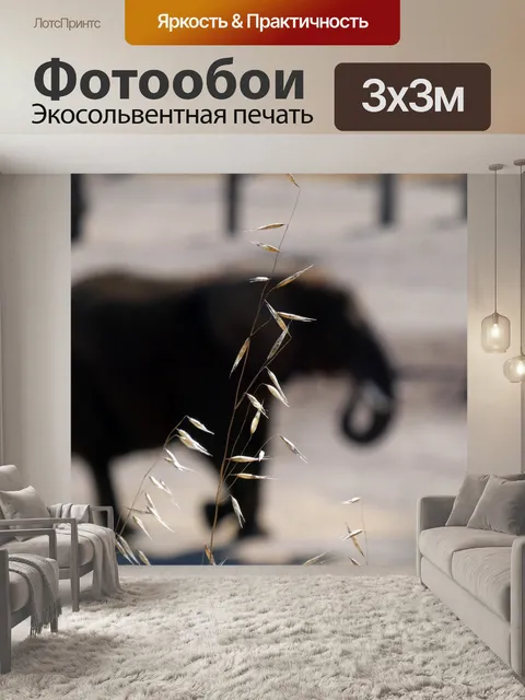 Фотообои слон