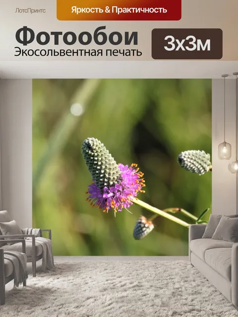 Фотообои Фиолетовый Прейри Клевер Уайлдфлауэр