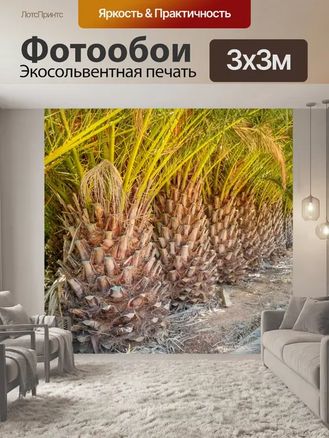 Фотообои Под пальмами