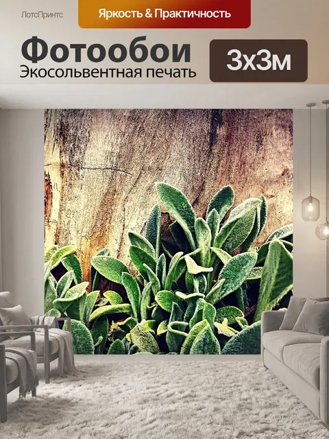 Фотообои Лес
