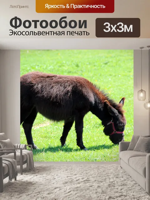 Фотообои Браун Осел