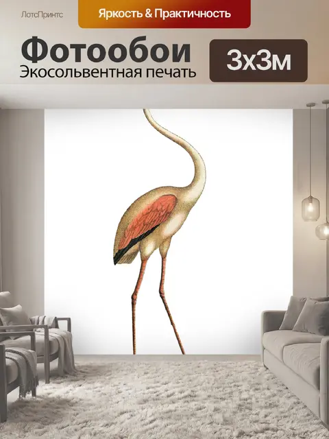 Фотообои Иллюстрация винтажного искусства птиц