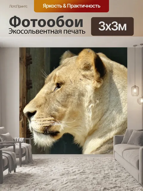 Фотообои Львица