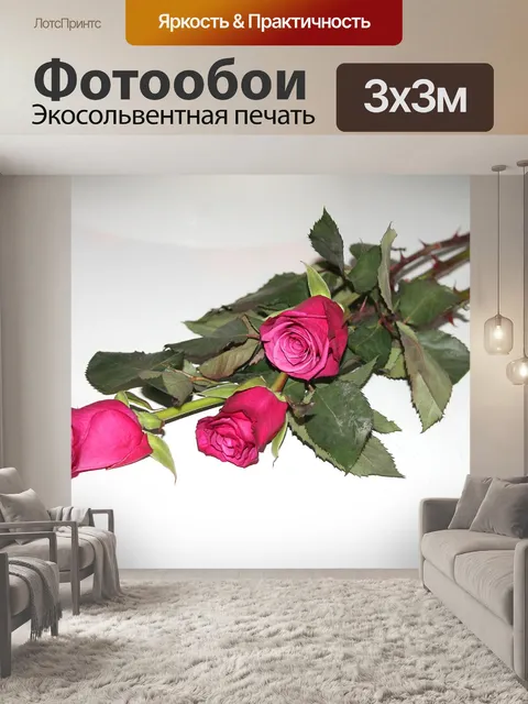 Фотообои Розы