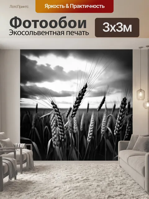Фотообои Чёрно-белое изображение пшеничного поля под мрачным облачным небом