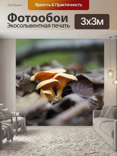 Фотообои Лисички