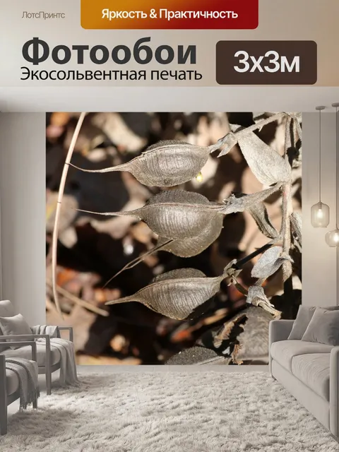 Фотообои Дикие Стручки Семени Индиго