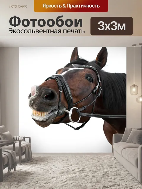 Фотообои Лошадь