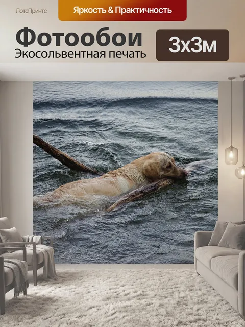Фотообои Собака