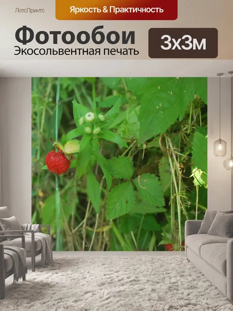 Фотообои Лесная земляника