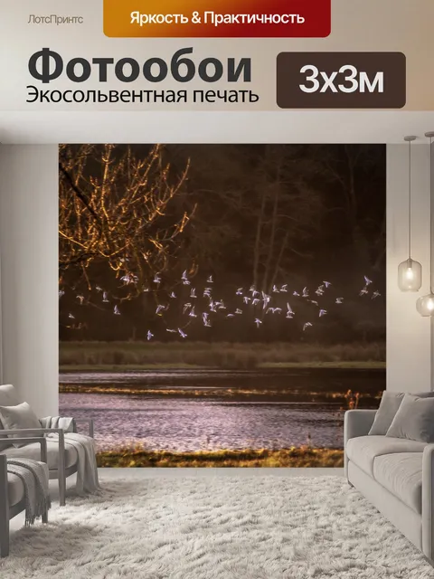 Фотообои Вандея