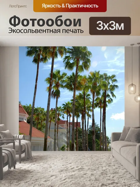 Фотообои Высокие деревья Пальмы