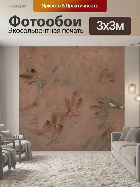 Фотообои Следы животных в грязи