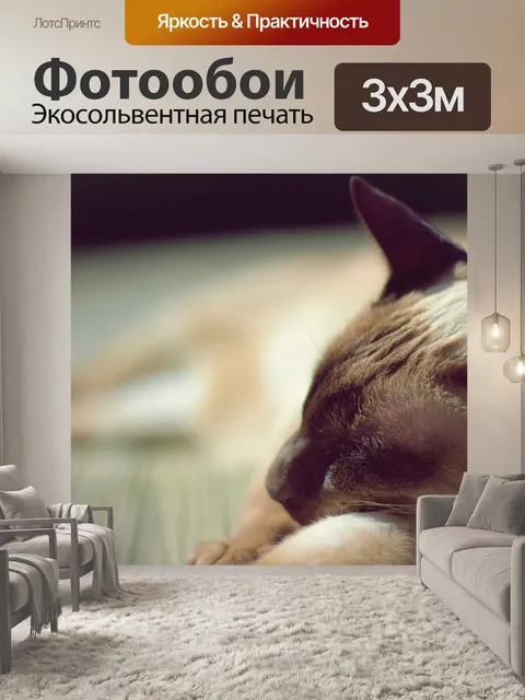 Фотообои Сиамский