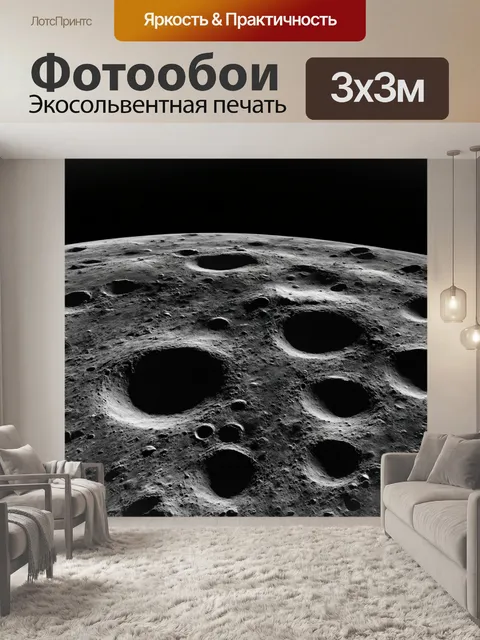 Фотообои черно-белый с изображением лунной поверхности