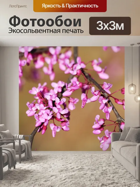 Фотообои Красное дерево цветет крупным планом