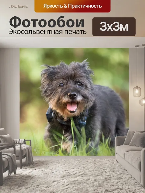 Фотообои Собака