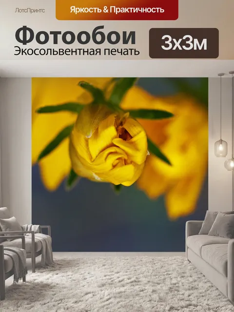 Фотообои желтый бутон распускается