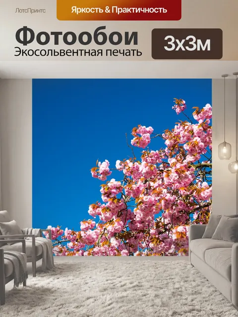 Фотообои Вишневый цвет и голубое небо