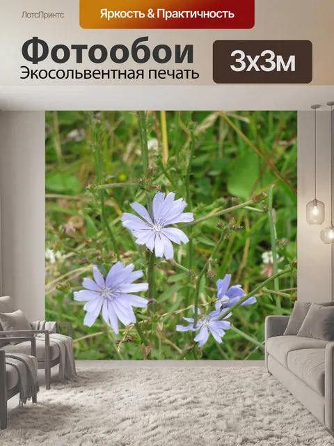 Фотообои Светло-синий дикий цветок