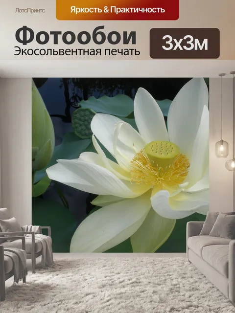 Фотообои Цветок