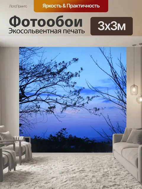 Фотообои Синий Природа Обои