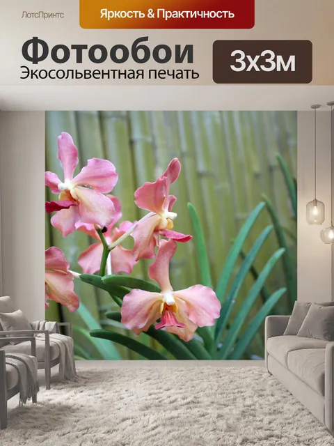 Фотообои Орхидеи в моем дворе