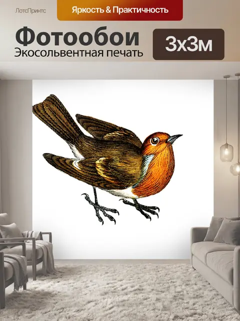 Фотообои Робин Redbreast