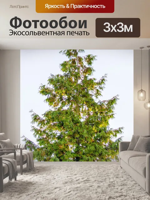Фотообои Зеленое дерево иглы
