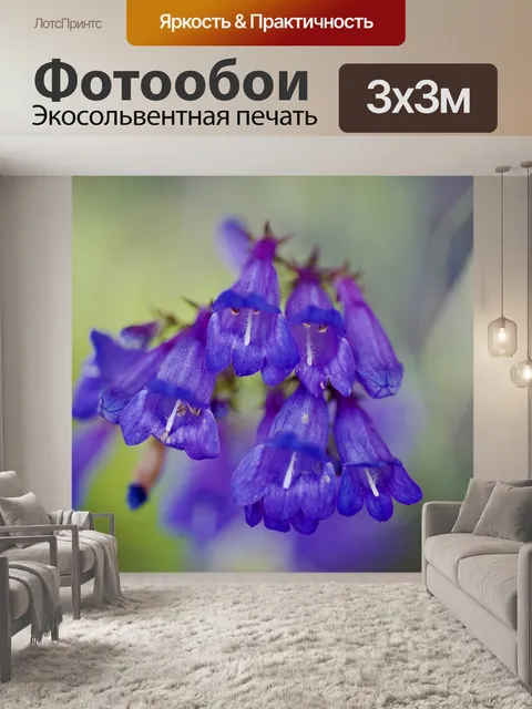Фотообои Фиолетовый