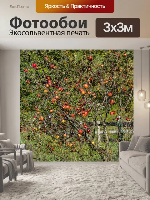 Фотообои яблоня