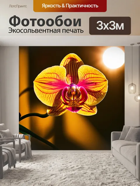 Фотообои чувствительное изображение